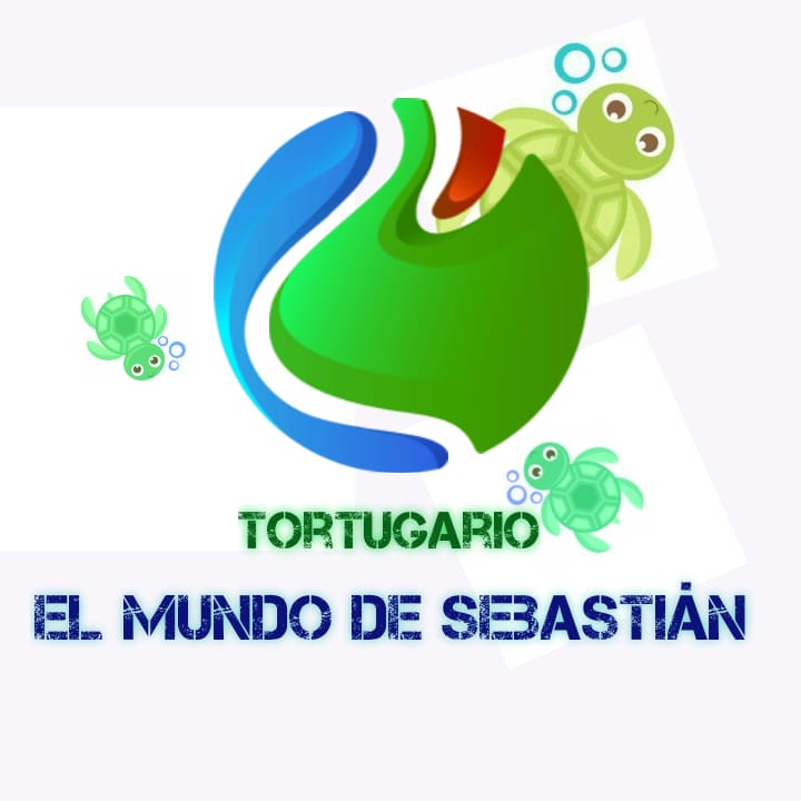 Sebastian's World – Tortugario – El Mundo De Sebastian